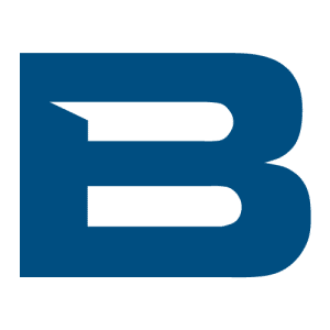 BAE Networks Icon Logo